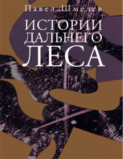 Читайте книги онлайн на Bookidrom.ru! Бесплатные книги в одном клике Павел Шмелев - Истории Дальнего Леса