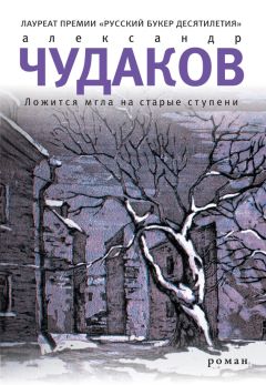 Читайте книги онлайн на Bookidrom.ru! Бесплатные книги в одном клике Александр Чудаков - Ложится мгла на старые ступени