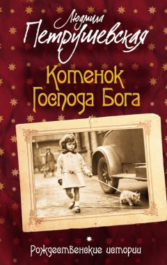 Читайте книги онлайн на Bookidrom.ru! Бесплатные книги в одном клике Людмила Петрушевская - Котенок Господа Бога. Рождественские истории (сборник)