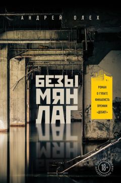 Читайте книги онлайн на Bookidrom.ru! Бесплатные книги в одном клике Андрей Олех - Безымянлаг
