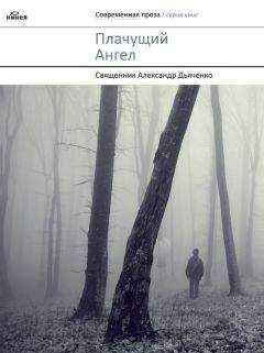 Читайте книги онлайн на Bookidrom.ru! Бесплатные книги в одном клике Александр Дьяченко - Плачущий Ангел (сборник)