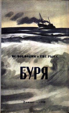 Читайте книги онлайн на Bookidrom.ru! Бесплатные книги в одном клике Всеволод Воеводин - Буря