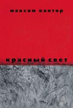 Читайте книги онлайн на Bookidrom.ru! Бесплатные книги в одном клике Максим Кантор - Красный свет