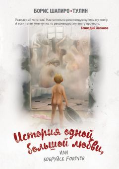 Читайте книги онлайн на Bookidrom.ru! Бесплатные книги в одном клике Борис Шапиро-Тулин - История одной большой любви, или Бобруйск forever (сборник)