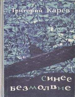 Читайте книги онлайн на Bookidrom.ru! Бесплатные книги в одном клике Григорий Карев - Синее безмолвие