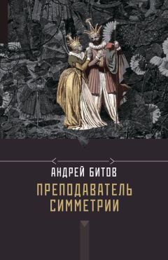 Читайте книги онлайн на Bookidrom.ru! Бесплатные книги в одном клике Андрей Битов - Преподаватель симметрии