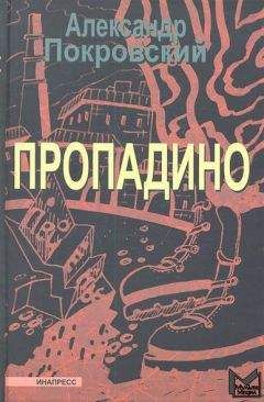 Читайте книги онлайн на Bookidrom.ru! Бесплатные книги в одном клике Александр Покровский - Пропадино. История одного путешествия