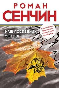 Читайте книги онлайн на Bookidrom.ru! Бесплатные книги в одном клике Роман Сенчин - Наш последний эшелон