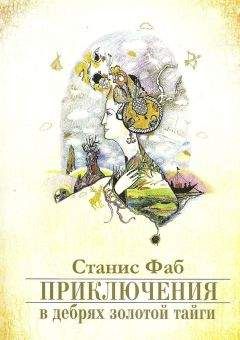 Читайте книги онлайн на Bookidrom.ru! Бесплатные книги в одном клике Станис Фаб - Приключения в дебрях Золотой тайги