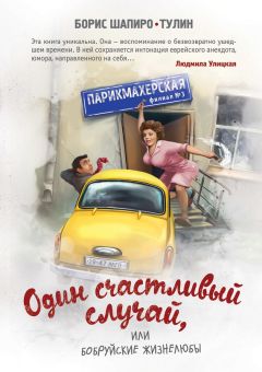 Читайте книги онлайн на Bookidrom.ru! Бесплатные книги в одном клике Борис Шапиро-Тулин - Один счастливый случай, или Бобруйские жизнелюбы