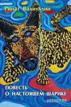 Читайте книги онлайн на Bookidrom.ru! Бесплатные книги в одном клике Ринат Валиуллин - Повесть о настоящем Шарике