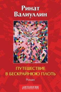 Читайте книги онлайн на Bookidrom.ru! Бесплатные книги в одном клике Ринат Валиуллин - Путешествие в бескрайнюю плоть