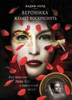 Читайте книги онлайн на Bookidrom.ru! Бесплатные книги в одном клике Вадим Норд - Вероника желает воскреснуть