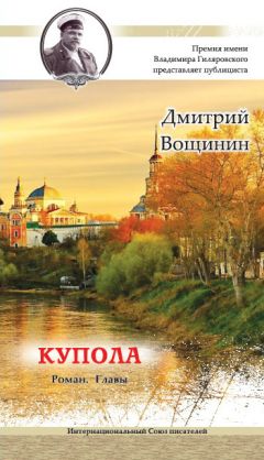 Читайте книги онлайн на Bookidrom.ru! Бесплатные книги в одном клике Дмитрий Вощинин - Купола