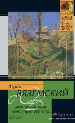 Читайте книги онлайн на Bookidrom.ru! Бесплатные книги в одном клике Юрий Вяземский - Цветущий холм среди пустого поля (сборник)