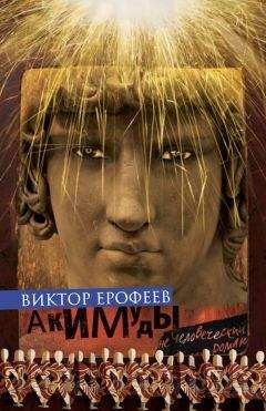 Читайте книги онлайн на Bookidrom.ru! Бесплатные книги в одном клике Виктор Ерофеев - Акимуды