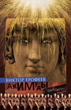 Читайте книги онлайн на Bookidrom.ru! Бесплатные книги в одном клике Виктор Ерофеев - Акимуды