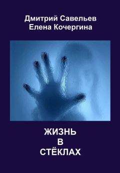 Читайте книги онлайн на Bookidrom.ru! Бесплатные книги в одном клике Елена Кочергина - Жизнь в стёклах (сборник)