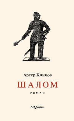 Читайте книги онлайн на Bookidrom.ru! Бесплатные книги в одном клике Артур Клинов - Шалом