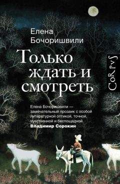 Читайте книги онлайн на Bookidrom.ru! Бесплатные книги в одном клике Елена Бочоришвили - Только ждать и смотреть