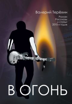 Читайте книги онлайн на Bookidrom.ru! Бесплатные книги в одном клике Валерий Терехин - В огонь