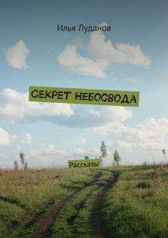 Читайте книги онлайн на Bookidrom.ru! Бесплатные книги в одном клике Илья Луданов - Секрет Небосвода. Рассказы