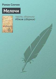 Читайте книги онлайн на Bookidrom.ru! Бесплатные книги в одном клике Роман Сенчин - Мелочи