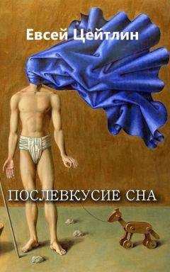 Читайте книги онлайн на Bookidrom.ru! Бесплатные книги в одном клике Евсей Цейтлин - Послевкусие сна (сборник)
