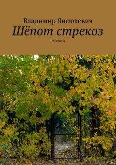 Читайте книги онлайн на Bookidrom.ru! Бесплатные книги в одном клике Владимир Янсюкевич - Шёпот стрекоз (сборник)