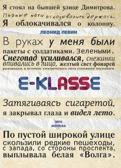 Читайте книги онлайн на Bookidrom.ru! Бесплатные книги в одном клике Леонид Левин - E-klasse