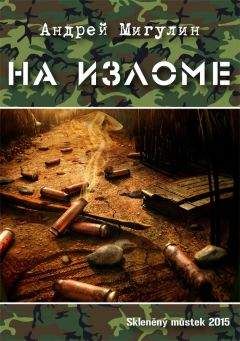 Читайте книги онлайн на Bookidrom.ru! Бесплатные книги в одном клике Андрей Мигулин - На изломе