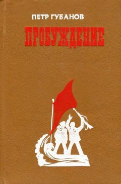 Читайте книги онлайн на Bookidrom.ru! Бесплатные книги в одном клике Пётр Губанов - Пробуждение