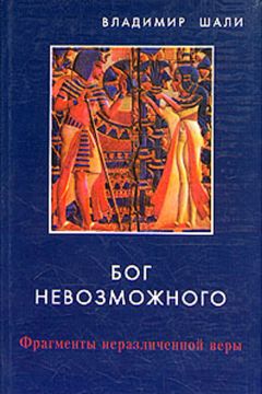 Читайте книги онлайн на Bookidrom.ru! Бесплатные книги в одном клике Владимир Шали - Бог невозможного