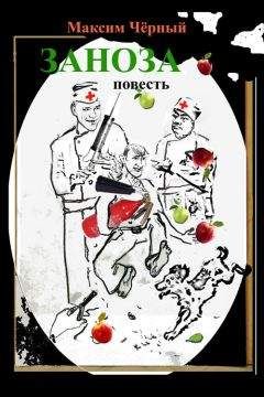 Читайте книги онлайн на Bookidrom.ru! Бесплатные книги в одном клике Максим Черный - Заноза