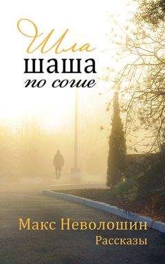 Читайте книги онлайн на Bookidrom.ru! Бесплатные книги в одном клике Макс Неволошин - Шла шаша по соше (сборник)