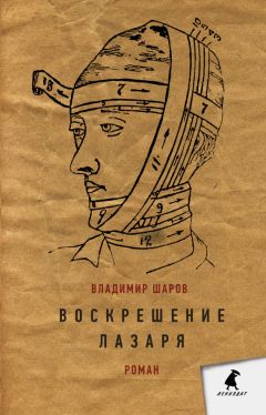 Читайте книги онлайн на Bookidrom.ru! Бесплатные книги в одном клике Владимир Шаров - Воскрешение Лазаря