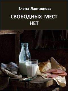 Читайте книги онлайн на Bookidrom.ru! Бесплатные книги в одном клике Елена Лактионова - Свободных мест нет. Рассказы советских времен (сборник)