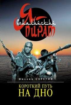 Читайте книги онлайн на Bookidrom.ru! Бесплатные книги в одном клике Михаил Серегин - Короткий путь на дно