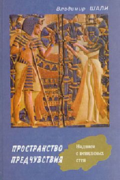 Читайте книги онлайн на Bookidrom.ru! Бесплатные книги в одном клике Владимир Шали - Пространство предчувствия