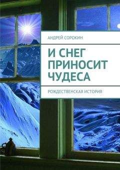Читайте книги онлайн на Bookidrom.ru! Бесплатные книги в одном клике Литагент «Ридеро» - И снег приносит чудеса