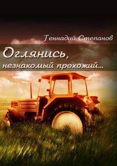 Читайте книги онлайн на Bookidrom.ru! Бесплатные книги в одном клике Геннадий Степанов - Оглянись, незнакомый прохожий…