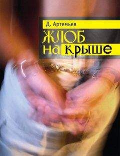 Читайте книги онлайн на Bookidrom.ru! Бесплатные книги в одном клике Дмитрий Артемьев - Жлоб на крыше (сборник)