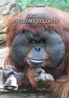 Читайте книги онлайн на Bookidrom.ru! Бесплатные книги в одном клике Адель Барабаш - Письма русскому буддисту