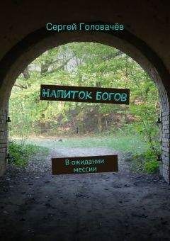 Читайте книги онлайн на Bookidrom.ru! Бесплатные книги в одном клике Сергей Головачев - Напиток богов