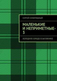 Читайте книги онлайн на Bookidrom.ru! Бесплатные книги в одном клике Сергей Семипядный - маленькие и неприметные-3