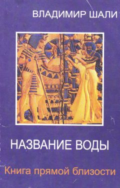 Читайте книги онлайн на Bookidrom.ru! Бесплатные книги в одном клике Владимир Шали - Название воды