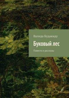 Читайте книги онлайн на Bookidrom.ru! Бесплатные книги в одном клике Валида Будакиду - Буковый лес