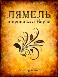 Читайте книги онлайн на Bookidrom.ru! Бесплатные книги в одном клике Сеймур Алиев - Лямель и принцесса Нарла