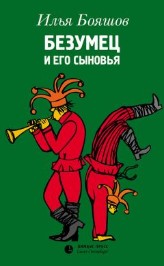 Читайте книги онлайн на Bookidrom.ru! Бесплатные книги в одном клике Илья Бояшов - Безумец и его сыновья