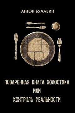 Читайте книги онлайн на Bookidrom.ru! Бесплатные книги в одном клике Антон Булавин - Поваренная книга холостяка, или Контроль реальности